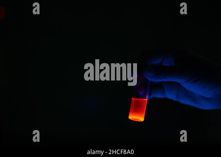 A woman researcher holding chemistry photochemical reaction fluorescent glass vials in a organic laboratory. A copy space black background. Medicinal Stock Photo