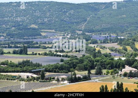 Aerial view of beautiful lavender fields in Sault, France Stock Photo