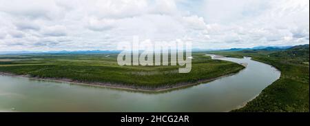 Panorama of a tidal river with sand bars showing and the banks lined with mangrove and other saltwater tolerant trees Stock Photo