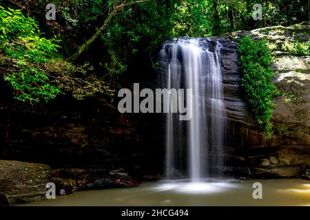 Buderim Falls, also known as Serenity Falls is a small waterfall on the Sunshine Coast, Queensland. Stock Photo
