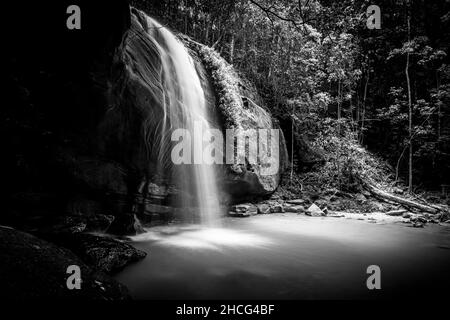 Buderim Falls, also known as Serenity Falls is a small waterfall on the Sunshine Coast, Queensland. Stock Photo