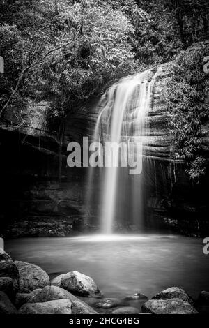 Buderim Falls, also known as Serenity Falls is a small waterfall on the Sunshine Coast, Queensland. Stock Photo