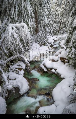 Franklin Falls trail near Snoqualmie Pass in Washington state. Stock Photo