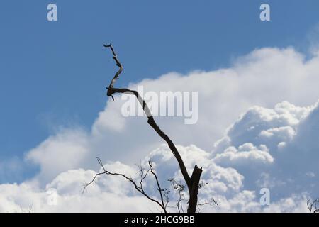 Stormy clouds down at the Avon river. Stock Photo