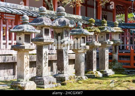 Row of sunlit Kasuga-doro type stone lanterns, toro, with a vermilion wll behind, along sando, on the approach to Tamukeyama shrine in Nara, Japan. Stock Photo