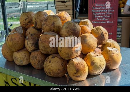 sale of coconuts,Dubai, United Arab Emirates, Middle East, Stock Photo