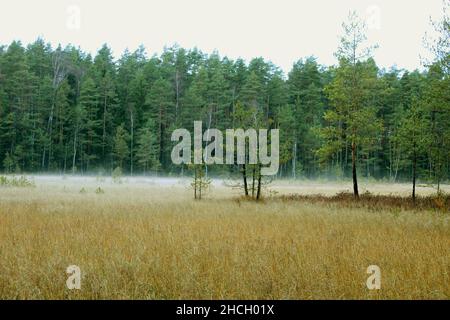 Magic autumn morning, and morning mist over the field Stock Photo