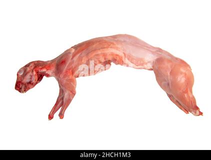 Whole raw rabbit isolated on a white background. Top view, flat lay, close up. Stock Photo