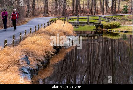 People hiking and walking over a wooden bridge in a winter park setting Stock Photo