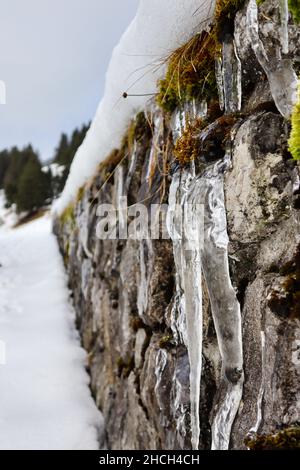 icicle on stone wall Stock Photo