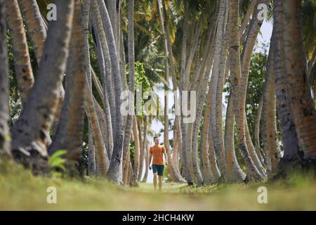 Young man walking through on footpath in alley of high palm trees. Stock Photo