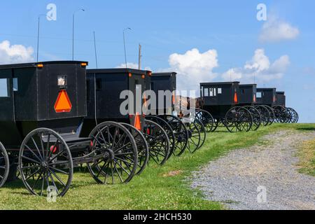 Amish horse-drawn buggies parked together near a rural chur Stock Photo