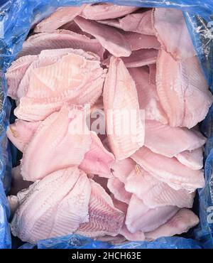 frozen fish fillet in transport package Stock Photo