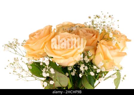 One bouquet of roses and Gypsophila flowers , close-up, isolated on white. Stock Photo