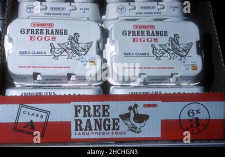 Boxes of 6 Class A free range eggs from Tesco supermarket UK Stock Photo