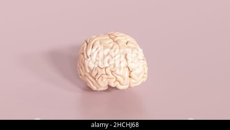 Floating brain as an artificial intelligence concept Stock Photo