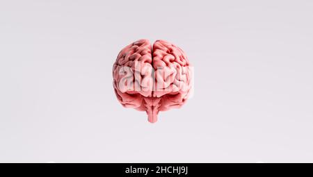 artificial intelligence concept with a floating brain model Stock Photo
