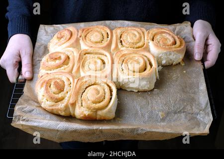 A tray of freshly baked bach of home made, lemon swirl Chelsea buns. The buns are still as baked and not separated on baking paper Stock Photo