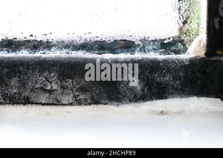 https://l450v.alamy.com/450v/2hchp89/frozen-window-frame-condensation-inside-close-up-ice-builtup-on-black-metal-window-frame-due-to-excessive-moisture-or-vapour-in-the-house-and-freezi-2hchp89.jpg
