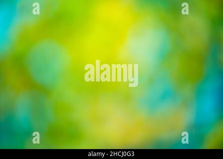 Blue and green defocus. Sky and leaves as a blurred abstract background. Stock Photo