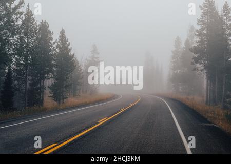 Rural road through forests on a foggy day Stock Photo
