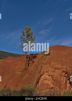 Portrait view of orange colored ocher rock with green tree at former mining area Colorado Provencal near village Rustrel in Provence, France. Stock Photo