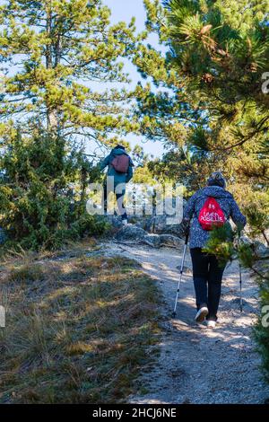 Two people walking in a dense forest on the path of the road, rear view. Tourists with a backpack. Take a walk outside together. Stock Photo
