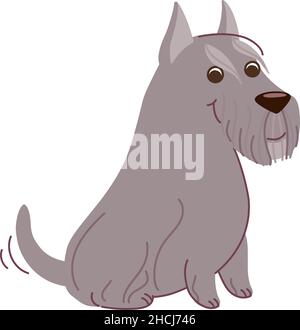 Schnauzer dog is sitting.. Vector illustration in flat style isolated on white background. Stock Vector