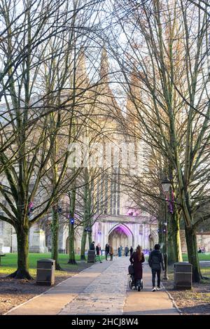 Winchester Cathedral in winter, Cathedral Close, Winchester, Hampshire, England, United Kingdom Stock Photo