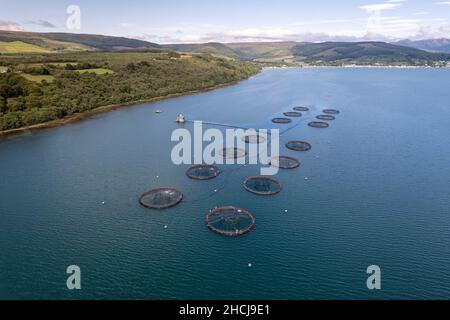 Aquaculture Fish Farm Pens Used to Keep Farmed Fish Stock Photo - Alamy