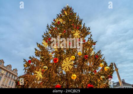 Decorated and illuminated christmas tree Stock Photo
