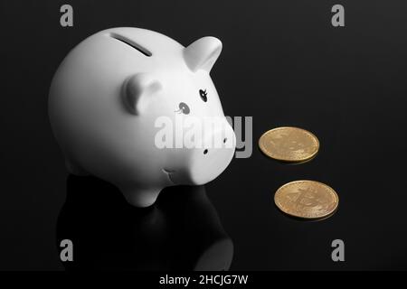Studio shot of white piggy bank and two golden bitcoins on a very dark reflective surface. Concept for crypto wallet, electronic money, crypto Stock Photo