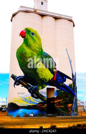 Art on a grain silo at Waikerie in the Riverland region of South Australia Stock Photo