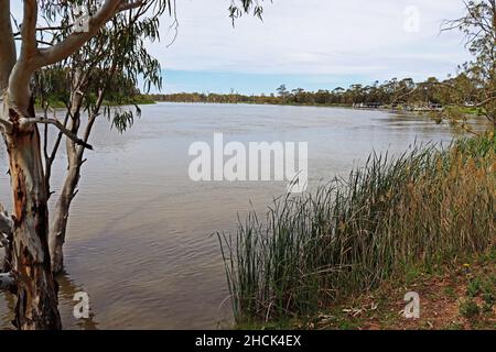 The banks of the River Murray at Kingston on Murray in South Australia Stock Photo