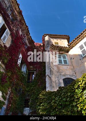 Low angle view of traditional buildings with stone facades covered by colorful climbing plants in historic center of village Eze at French Riviera. Stock Photo