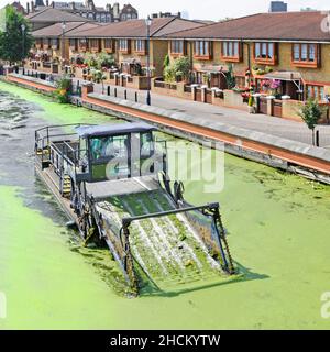 'The Lee mean alga clean machine' owned by British Waterways at work on the Lee Navigation cleaning up green hot summer algal bloom Hackney London UK Stock Photo