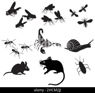 Bugs and pests, isolated on white, illustration Stock Vector