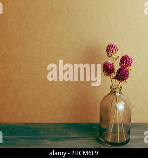 Vase of purple globe amaranth dry flowers on blue painted wooden table. brown wall background. home interior. vintage retro filter Stock Photo