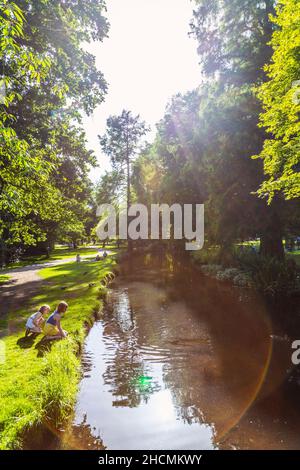 Children playing at Triss's Pond in the Woodland Garden, Bushy Park, East Molesey, London, UK Stock Photo