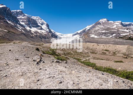 Sediment pushed by the glacier terminus and accumulation zone of the Columbia Icefield and Athabasca Glacier on the southern edge of Jasper National Park in Alberta, Canada. The Columbia Icefield is the largest ice field in the Rocky Mountains. Stock Photo