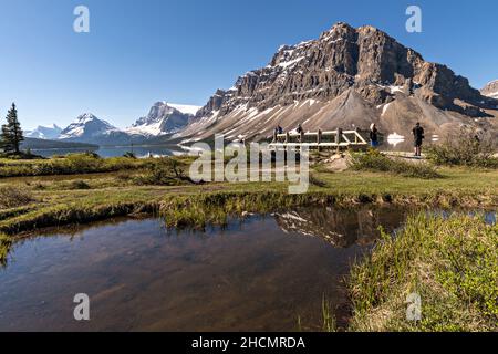 Tourists take photos of Crowfoot Mountain reflected by Bow Lake along the Icefields Parkway at Banff National Park in Alberta, Canada. Bow Lake is formed from the glacier melt of the Crowfoot Glacier and Wapta Icefields. Stock Photo