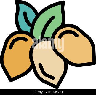 Bio jojoba nuts icon. Outline bio jojoba nuts vector icon color flat isolated Stock Vector