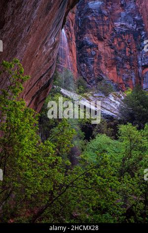 Emerald Pools Hike in Zion National Park Stock Photo