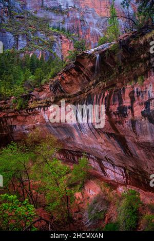 Emerald Pools Hike in Zion National Park Stock Photo