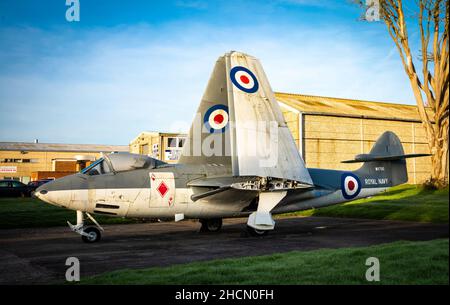 British Hawker Sea Hawk FGA6 folded wing jet fighter plane with number WV795 on display at Dunsfold Aerodrome, Surrey, UK. Stock Photo