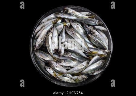 horse mackerel top view on the plate. Cleaned raw horse mackerel Stock Photo