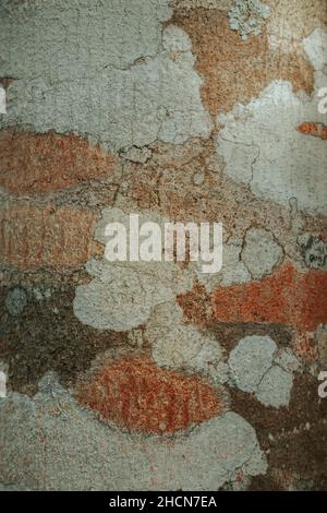 Closeup of an old grunge wall texture Stock Photo