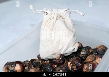 Sapindus mukorossi or Indian soapberry. Many soap nuts and cotton bag ready to be used ecologically in wash machine Stock Photo