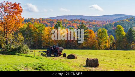 hay bales and old tractor on the field with the bright autumn foliage colors in the forest in the background Stock Photo
