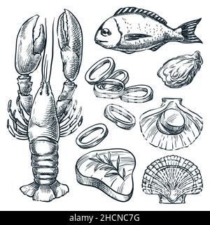 Seafood and fresh raw fish set. Hand drawn vector sketch illustration. Lobster, dorada, scallop, squid, tuna icons isolated on white background. Sea f Stock Vector